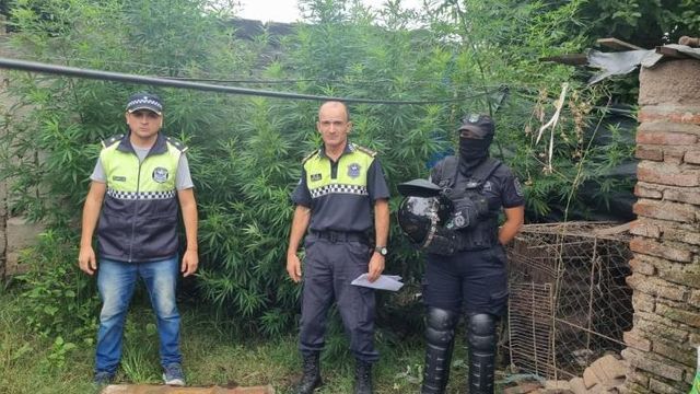 Aguilares: secuestran un puñal y descubren cannabis en operativos por un hecho de violencia.