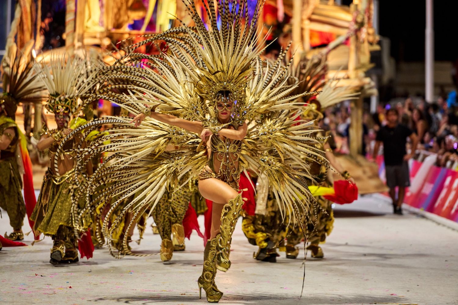Carnaval Gualeguaychú