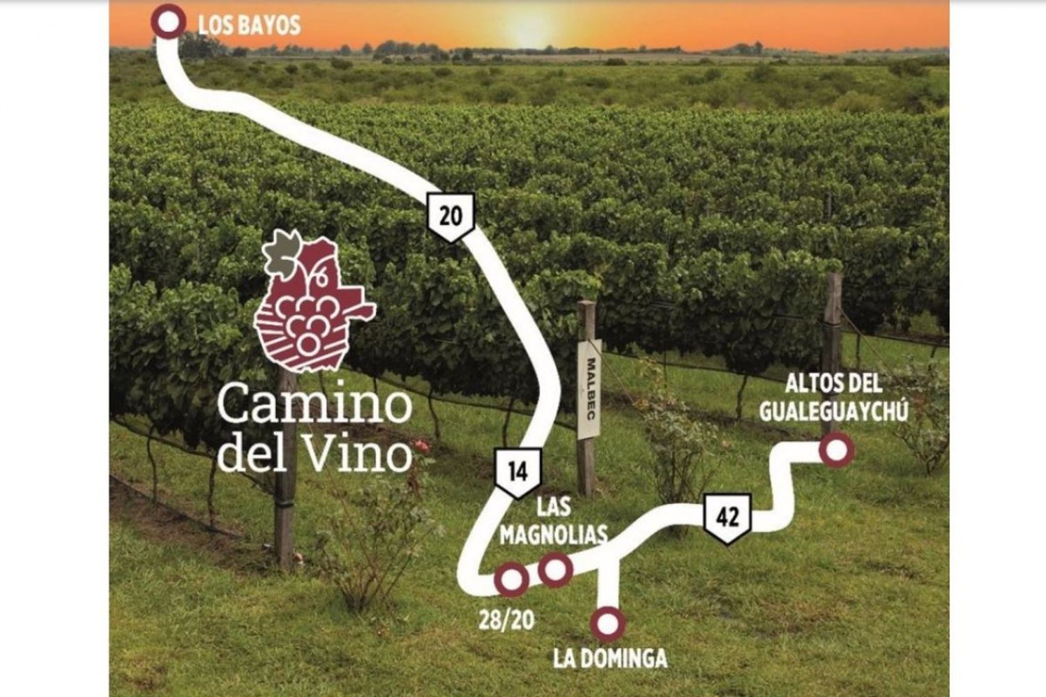 Ruta del Vino