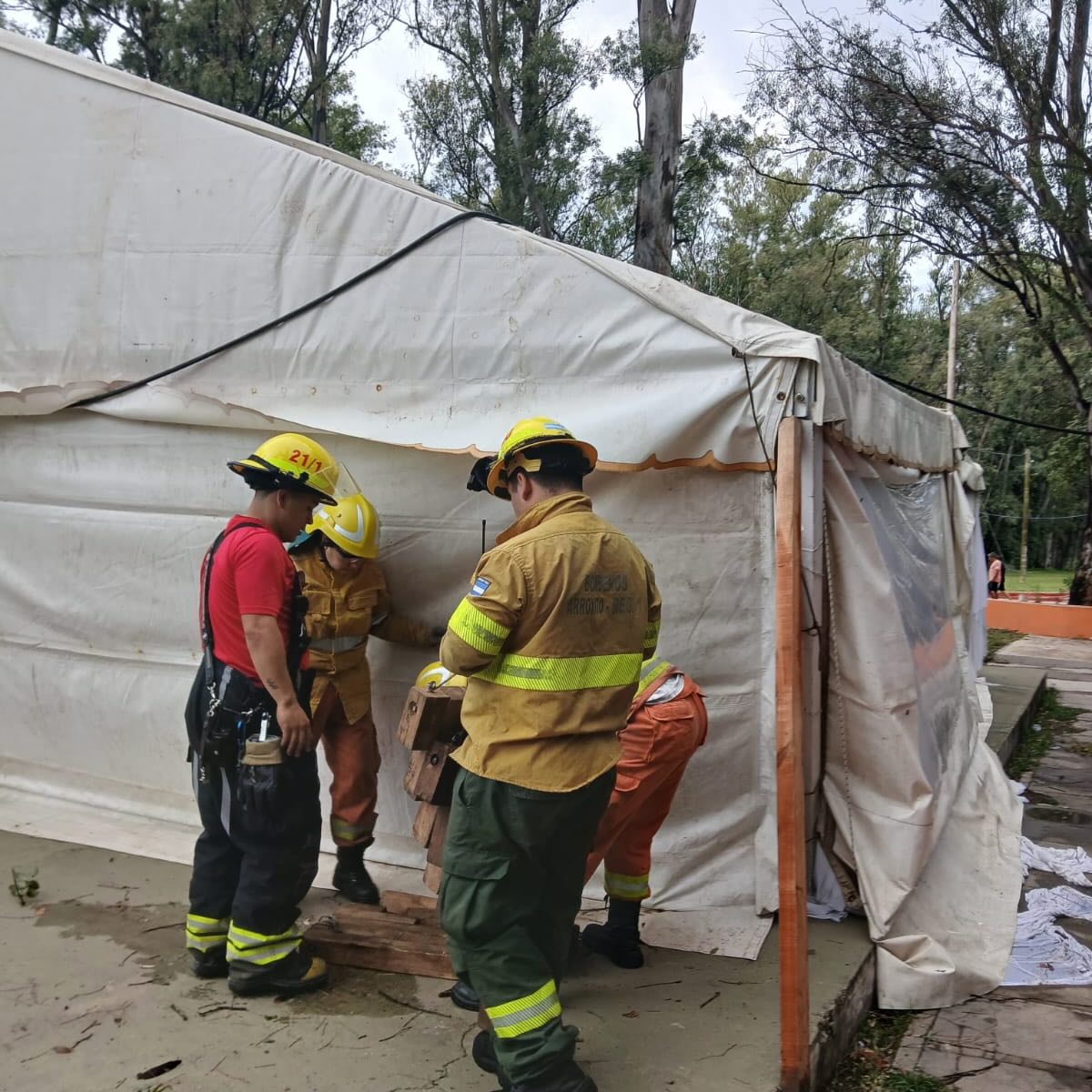 Fuertes ráfagas de viento provocaron caídas de árboles y otros destrozos en Arroyito