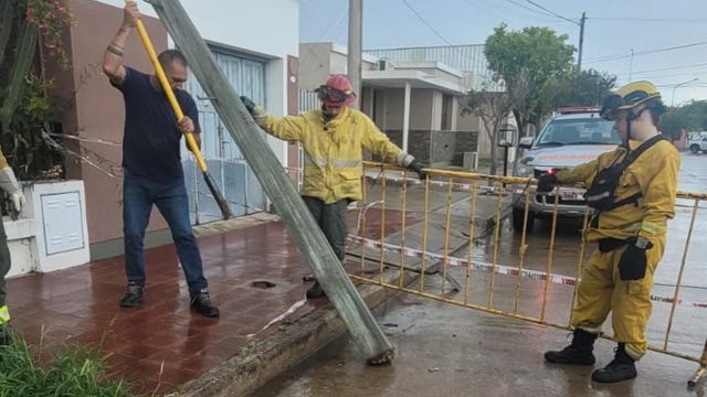Fuertes ráfagas de viento provocaron caídas de árboles y otros destrozos en Arroyito
