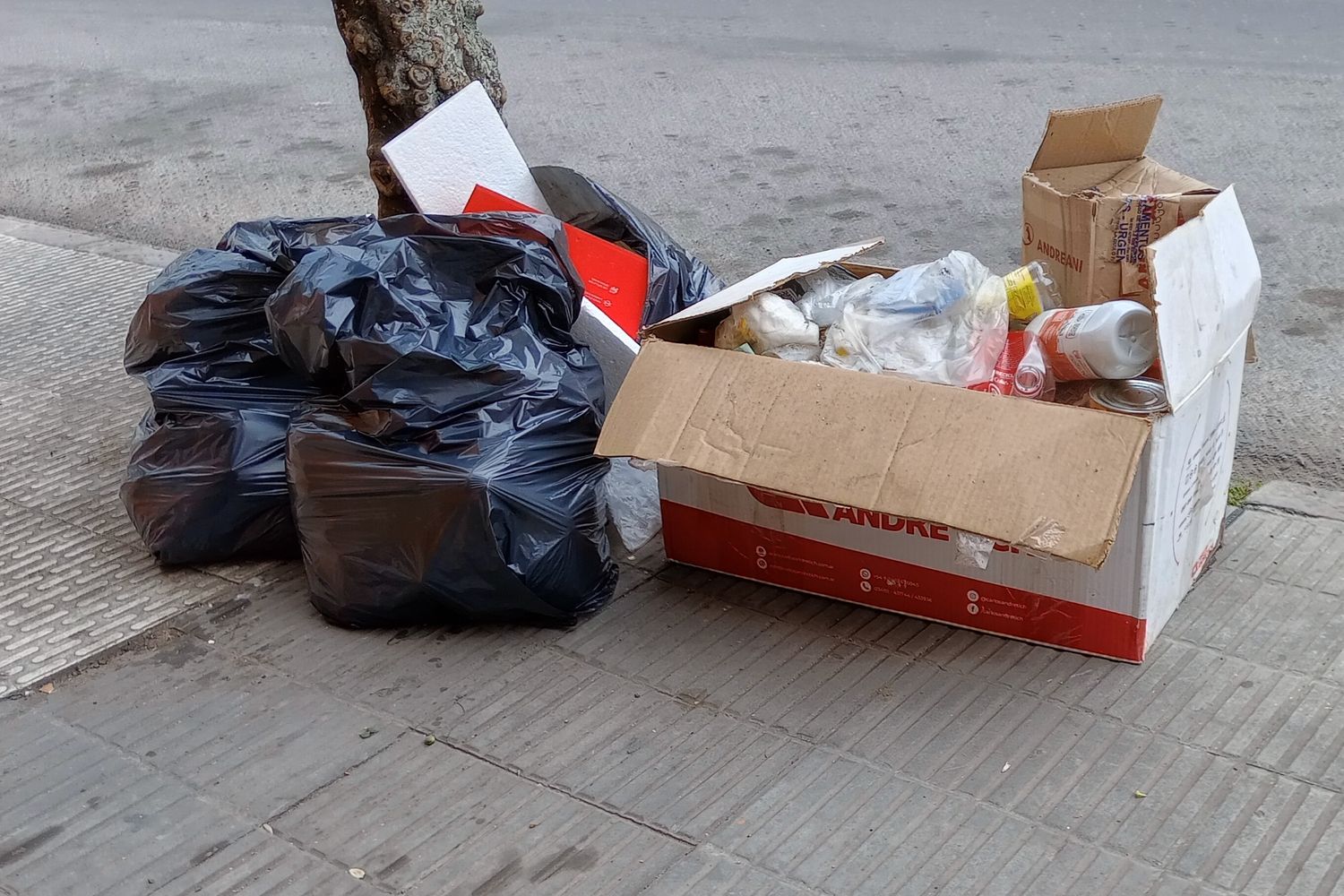La Municipalidad de San Salvador de Jujuy informó acerca de la suspensión de los servicios de limpieza y recolección de residuos por parte de la empresa concesionaria, debido al paro de la CGT.