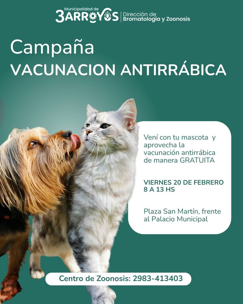 Mascotas