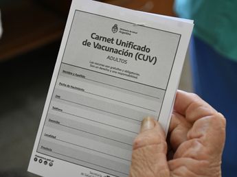 Antes de empezar las clases: qué vacunas deben aplicarse chicos, embarazadas y adultos en 2026