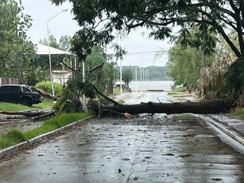 Temporal en Concordia: la Municipalidad activó un operativo y asiste a familias afectadas