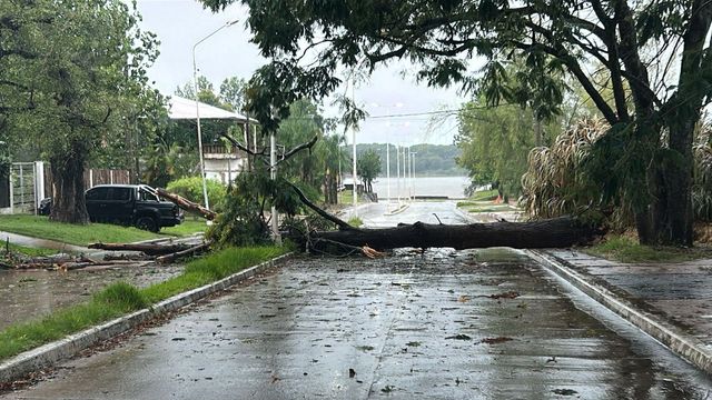 Temporal en Concordia: la Municipalidad activó un operativo y asiste a familias afectadas.