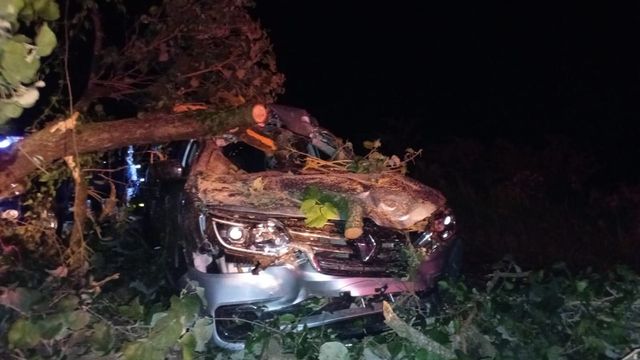Temporal azotó el norte misionero: destrozos, cortes de luz y un choque múltiple por la caída de un árbol.