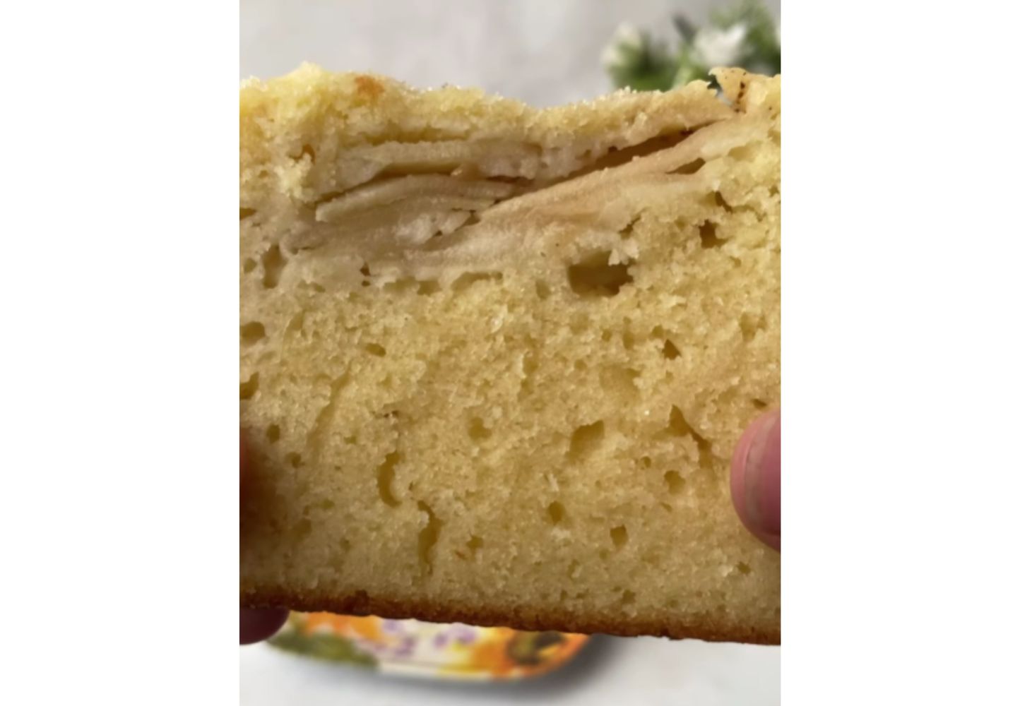 Budín de manzana ideal para acompañar los mates de la tarde.