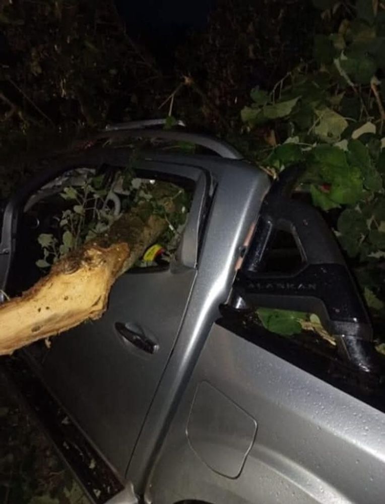 Temporal azotó el norte misionero: destrozos, cortes de luz y un choque múltiple por la caída de un árbol.