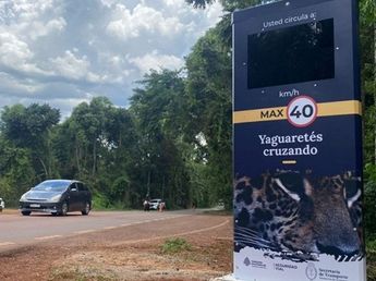 Implementarán códigos QR para denunciar conductas viales indebidas en el Parque Nacional Iguazú