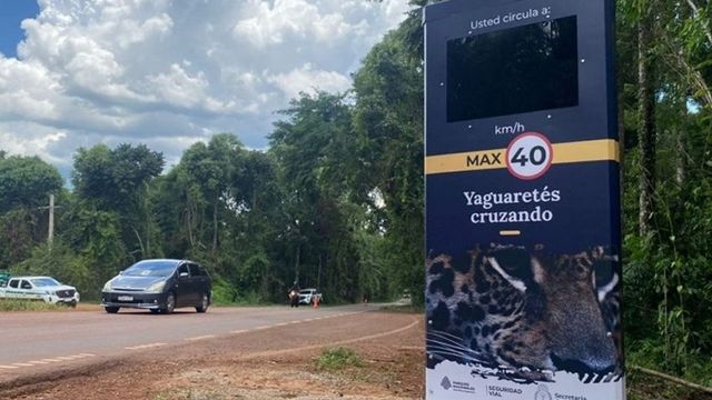 Implementarán códigos QR para denunciar conductas viales indebidas en el Parque Nacional Iguazú.