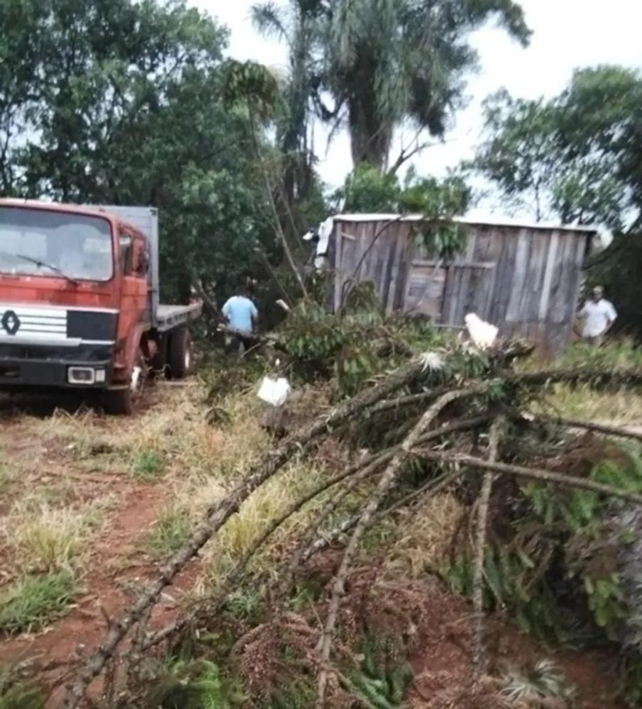 Temporal azotó el norte misionero: destrozos, cortes de luz y un choque múltiple por la caída de un árbol.