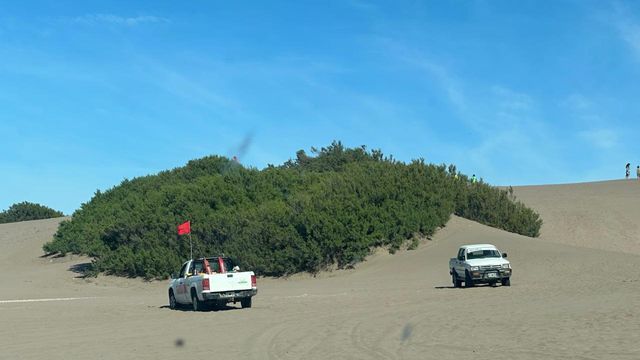 Búsqueda en Reta