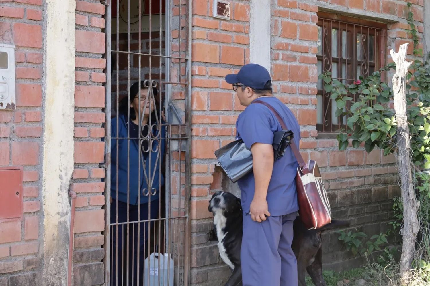 Durante la semana, los equipos sanitarios de Jujuy desarrollan acciones territoriales coordinadas con CAPS y comunidad para fortalecer el cuidado frente a dengue, zika y chikungunya.
