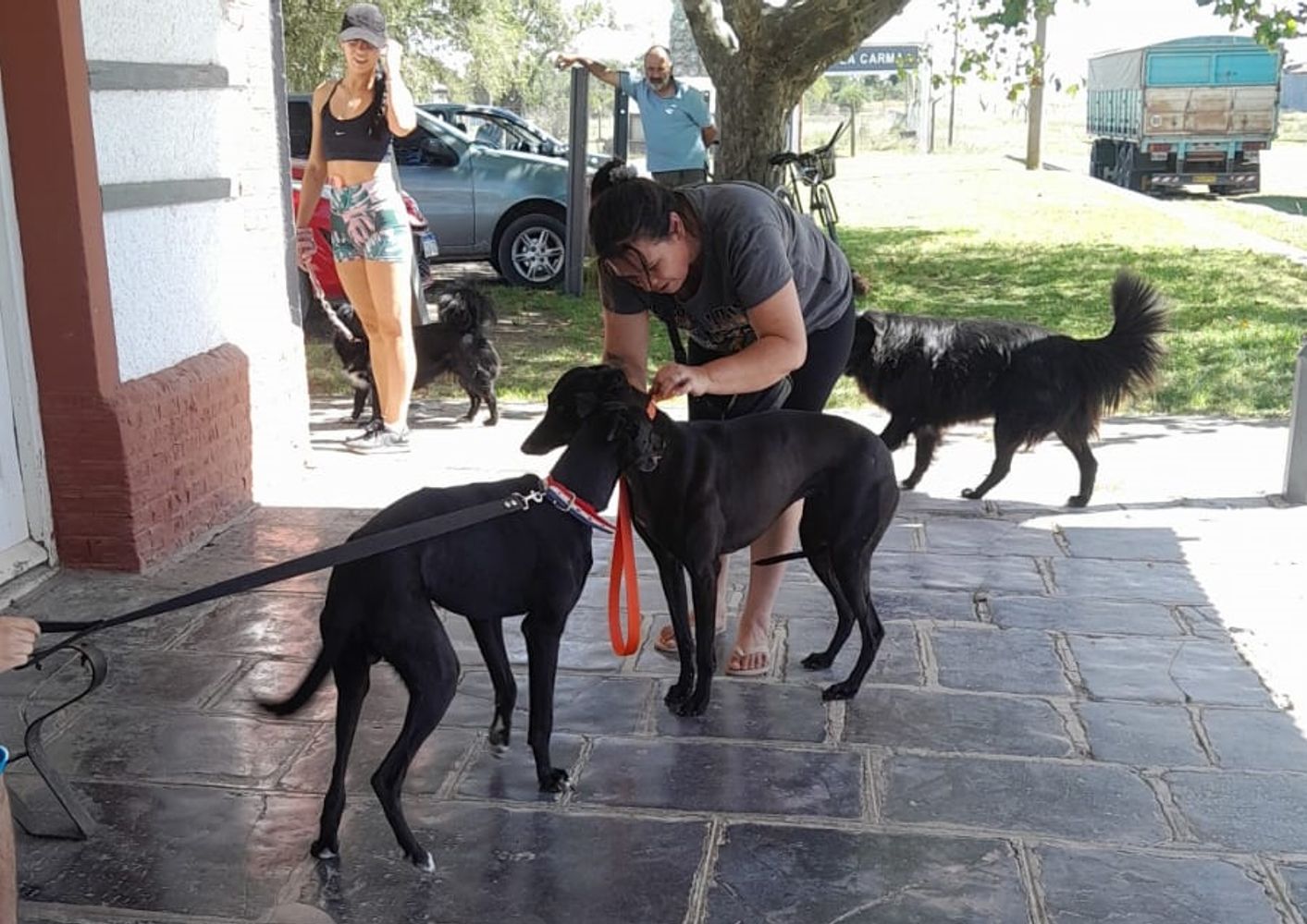 Vacunación De la Garma