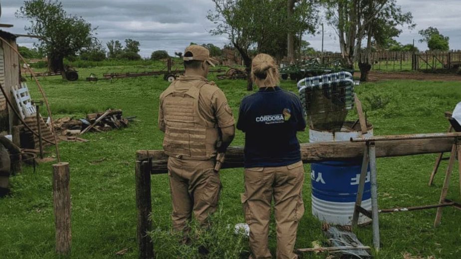 Córdoba: clausuraron comercios por faenamiento y venta ilegal de carne