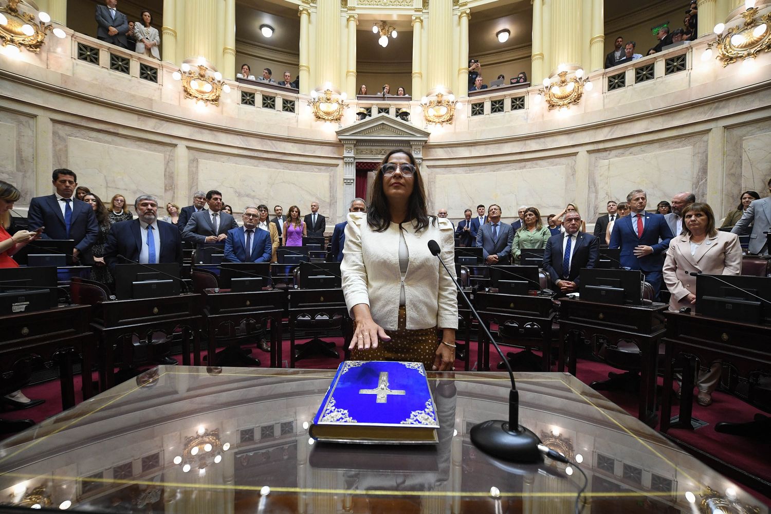La senadora jujeña Carolina Moisés (Convicción Federal) fue designada en la vicepresidencia del Senado, en reemplazo de la neuquina Silvia Sapag, cuyo mandato finalizó el 10 de diciembre pasado.