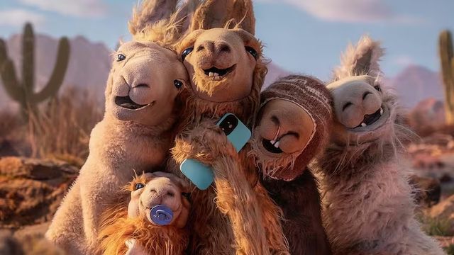 "La Llama que Llama" vuelve en Jujuy