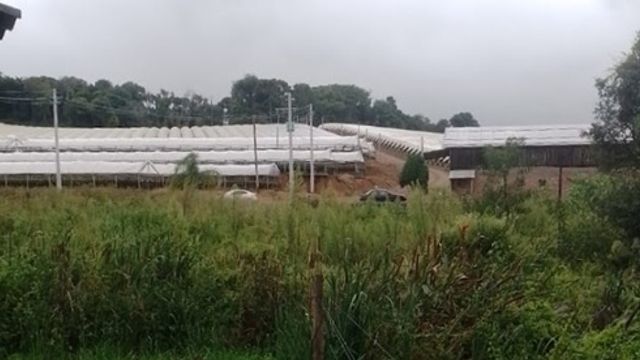 Trabajadores de San Vicente denuncian explotación laboral en Brasil y falta de pago.