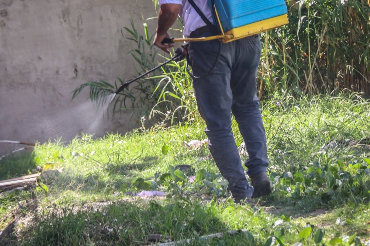 Desinfección en escuelas