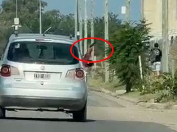 Terror: filmaron a un hombre mostrando un arma desde un auto en Córdoba