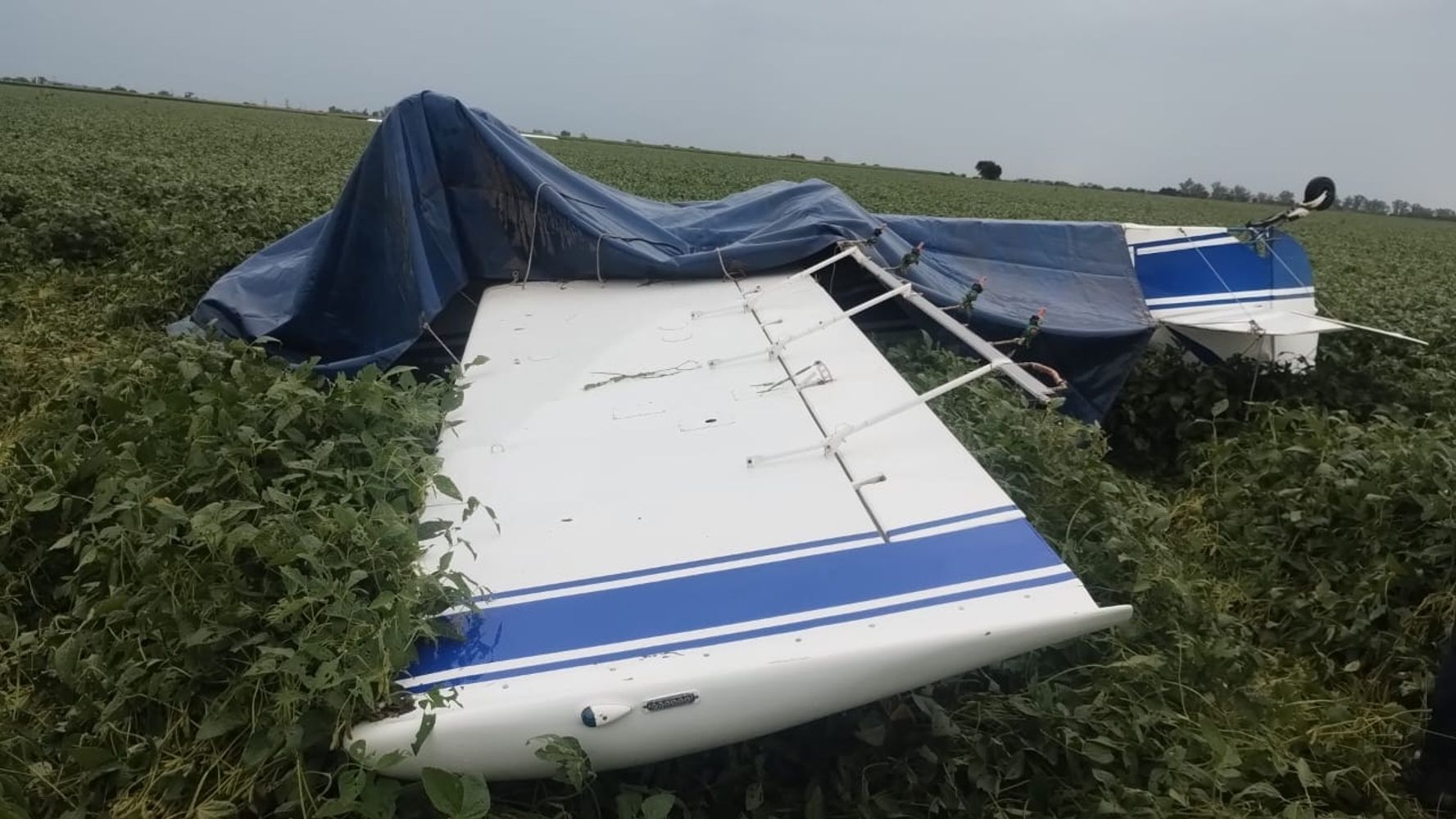 Colonia Marina: un piloto salvó su vida de milagro tras caer con su avioneta