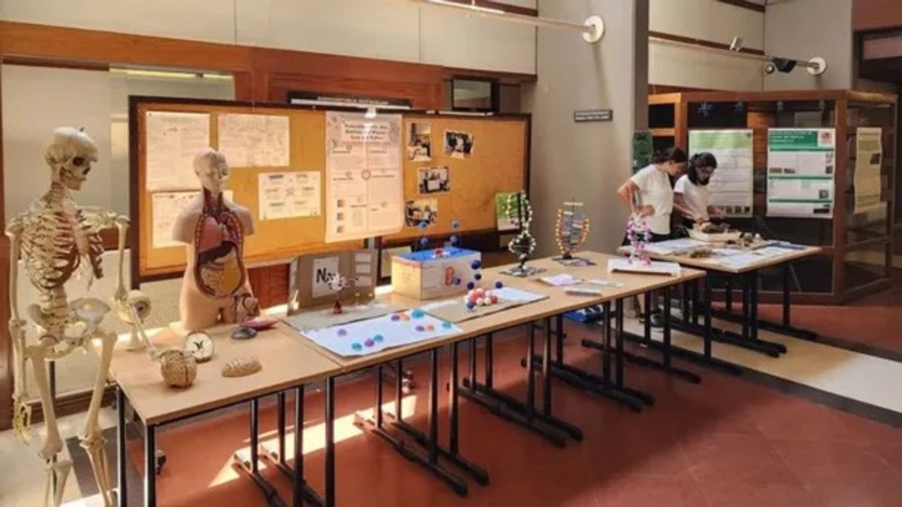 Así es el colegio al que asiste Mirko, el hijo de Marley.