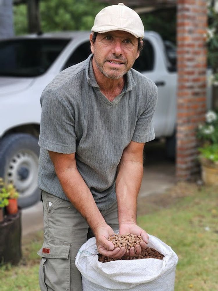Alejandro Camporini