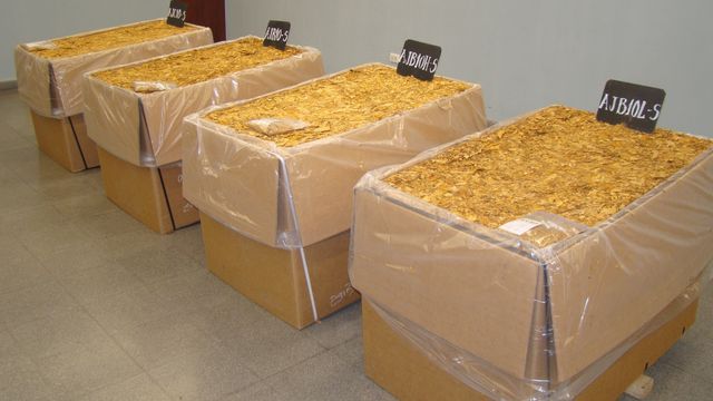 Productores de Jujuy y Salta acordaron con los compradores un incremento del 35% en el precio del tabaco para la campaña 2025–2026.