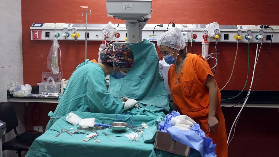 Exitosa cirugía cardiovascular a un prematuro en la Maternidad