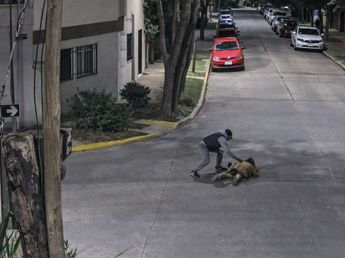 Brutal robo en Vicente López: un delincuente atacó a una mujer y todo quedó grabado