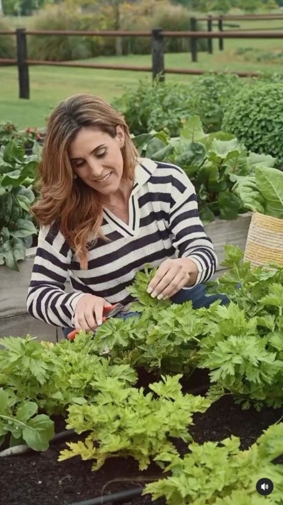 Soledad Pastorutti