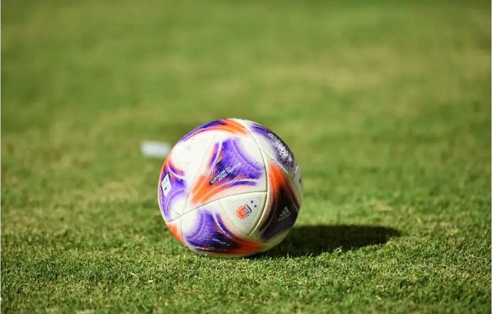 Pelota