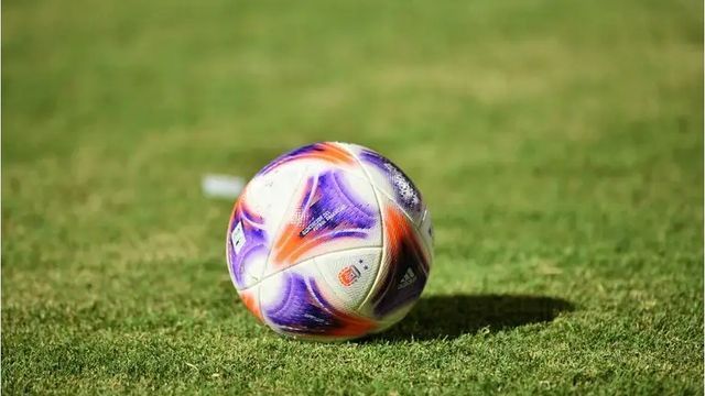 Pelota