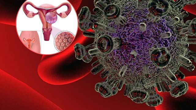 Virus del Papiloma Humano  