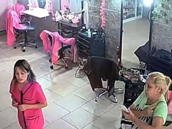 Muerte de la peluquera: habló otra víctima de las gitanas estafadoras y contó el siniestro modus operandi con el que le robaron