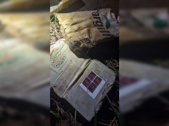 Misiones: incautaron 100 kilos de marihuana con la imagen de “El Mencho” en la costa de General Urquiza