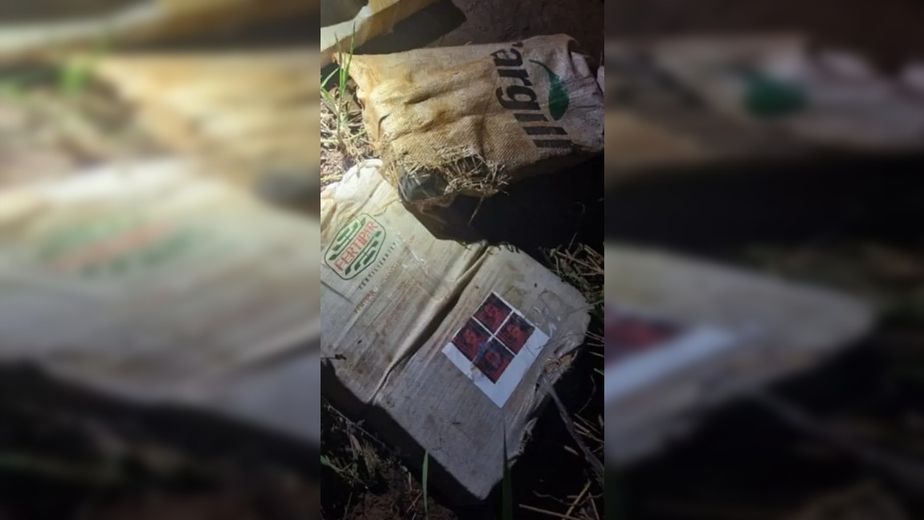 Misiones: incautaron 100 kilos de marihuana con la imagen de “El Mencho” en la costa de General Urquiza
