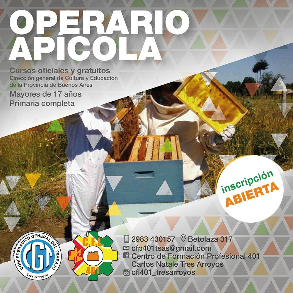 cursos