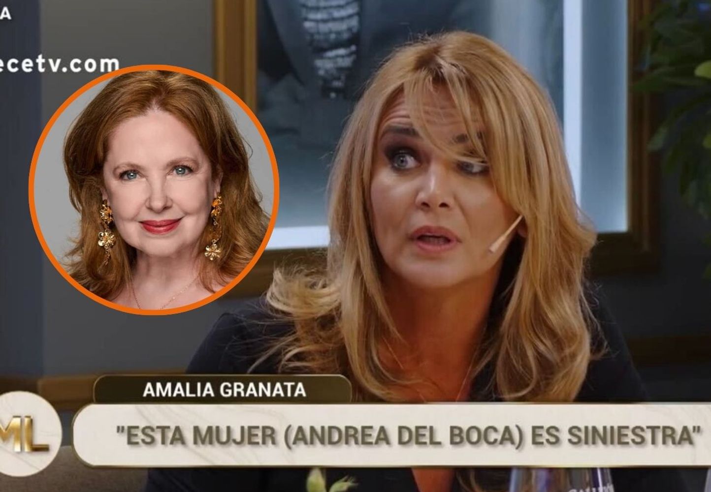 Amalia Granata apuntó contra Andrea del Boca en la mesa de Mirtha Legrand (Gentileza)