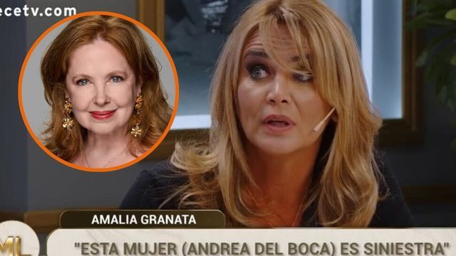 Amalia Granata apuntó contra Andrea del Boca.