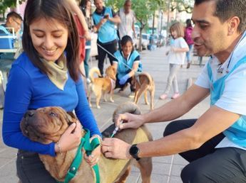 Vacunación gratuita para mascotas en Córdoba: cómo será el cronograma