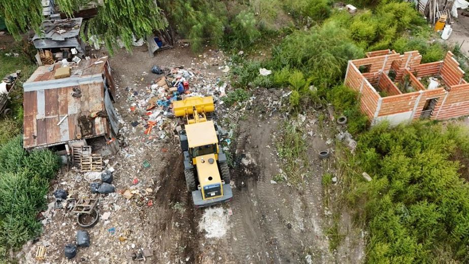 Clausuraron una chanchería urbana tras años de reclamos y avanza la recuperación ambiental