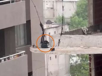 Dramático video: un perro quedó al borde del abismo en un edificio abandonado de Córdoba