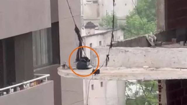 Un perro quedó al borde del abismo en un edificio abandonado.