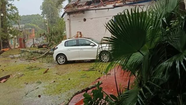 Temporal causó daños en Puerto Libertad: voladuras de techos, árboles caídos y cortes de energía.