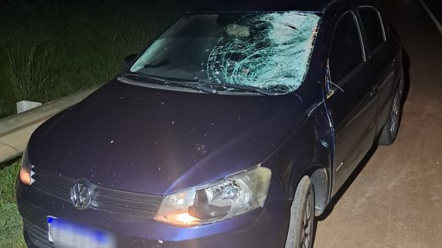 El siniestro se registró a la altura del kilómetro 1018 de la Ruta Nacional 14.