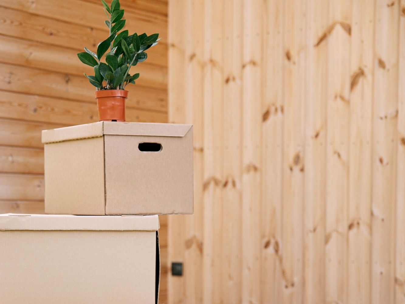 Los trucos caseros con objetos reciclados se volvieron populares para reducir gastos y mejorar la organización del hogar.
