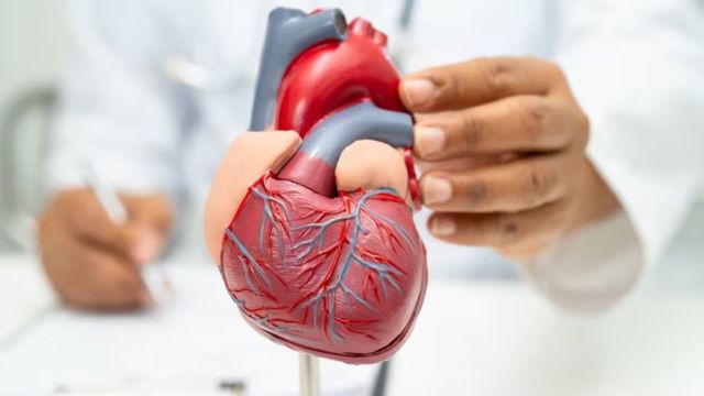Subir escaleras, el ejercicio simple y efectivo que gana terreno entre las recomendaciones para cuidar el corazón.
