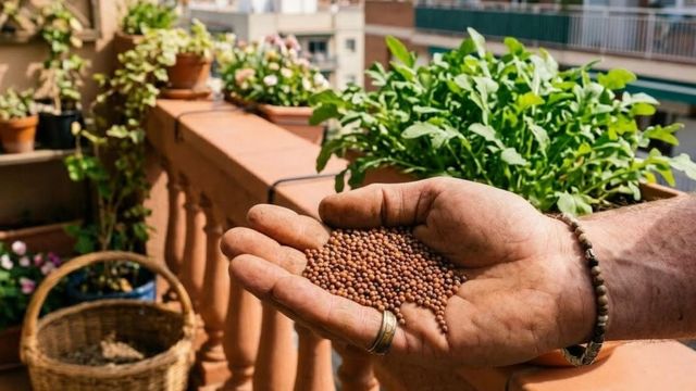 La rúcula es ideal para cultivar en espacios reducidos como balcones durante marzo
